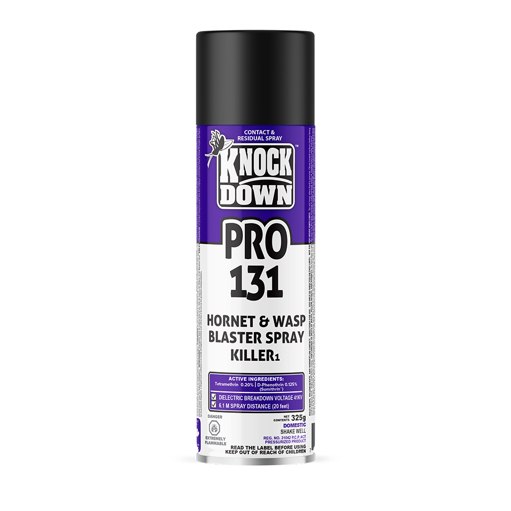 2025kd131p-3d_eng-1000x1000